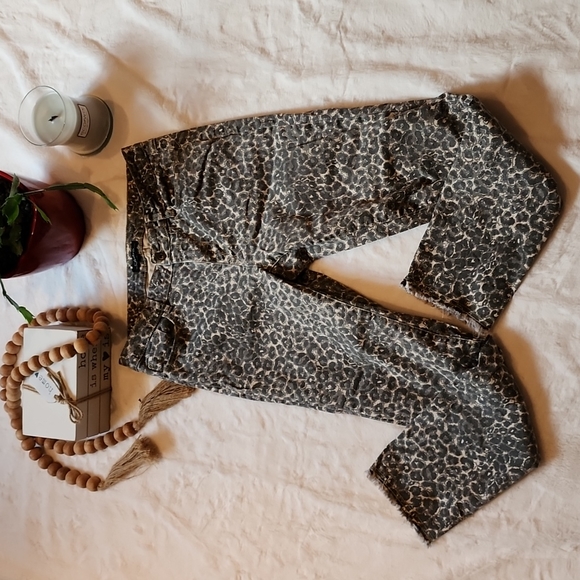 Charlie B animal print jeans sz 6 - Picture 1 of 6